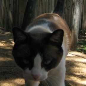 Fundraising Page: Susan Duke